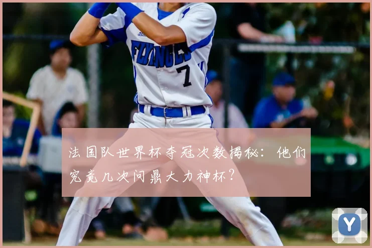 法国队世界杯夺冠次数揭秘：他们究竟几次问鼎大力神杯？