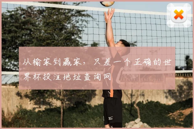 从输家到赢家,只差一个正确的世界杯投注地址查询网