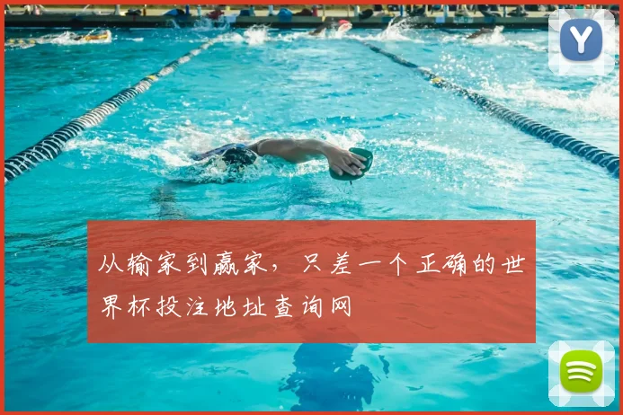 从输家到赢家,只差一个正确的世界杯投注地址查询网