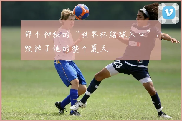 那个神秘的“世界杯赌球入口”，毁掉了他的整个夏天