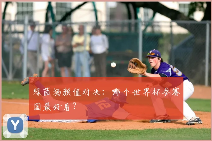 绿茵场颜值对决：哪个世界杯参赛国最好看？