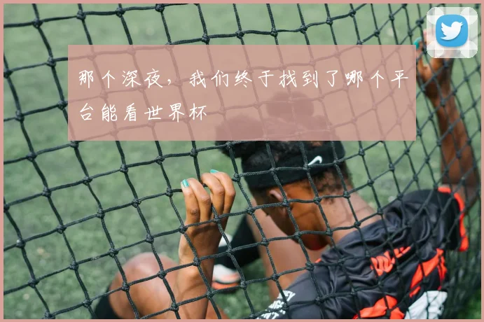 那个深夜，我们终于找到了哪个平台能看世界杯