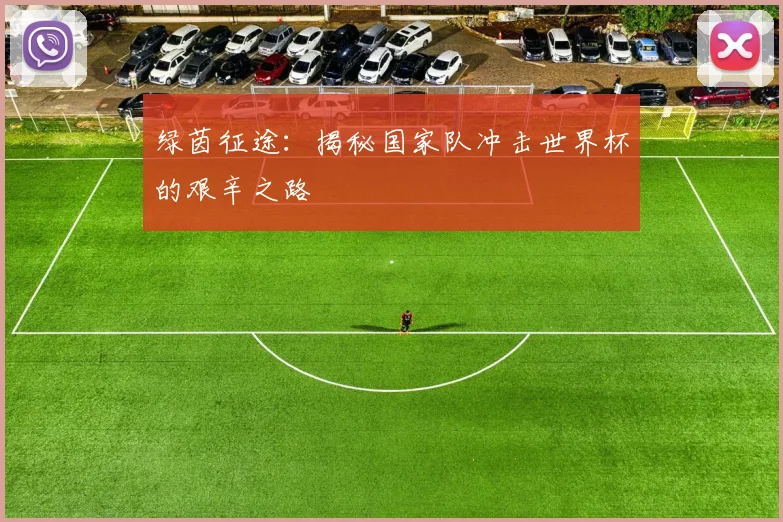 绿茵征途：揭秘国家队冲击世界杯的艰辛之路