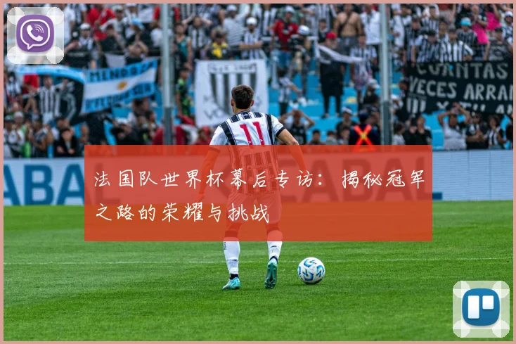 法国队世界杯幕后专访：揭秘冠军之路的荣耀与挑战