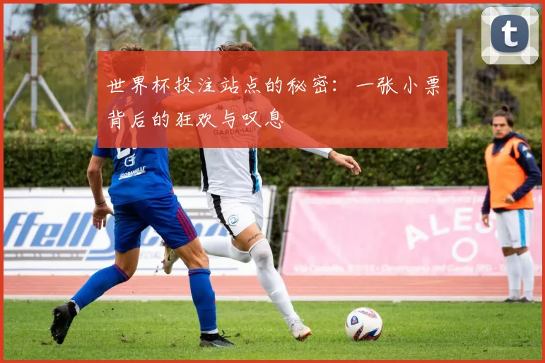 世界杯投注站点的秘密:一张小票背后的狂欢与叹息