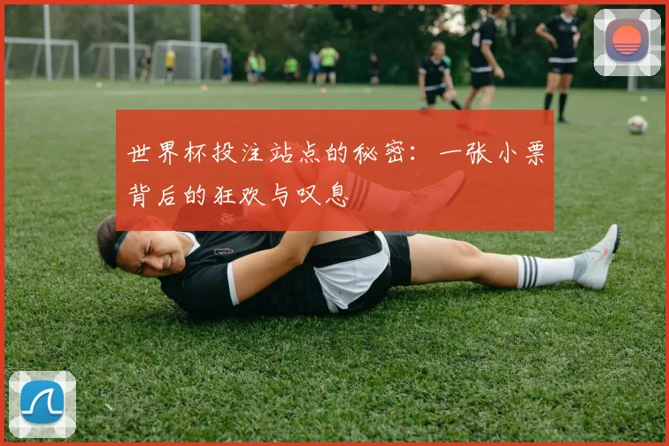 世界杯投注站点的秘密:一张小票背后的狂欢与叹息