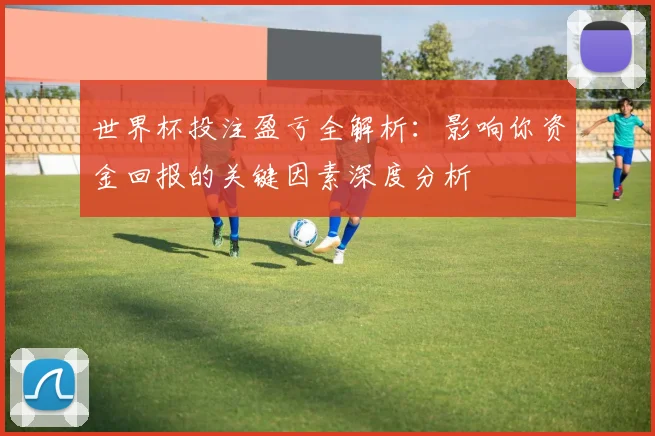 世界杯投注盈亏全解析:影响你资金回报的关键因素深度分析