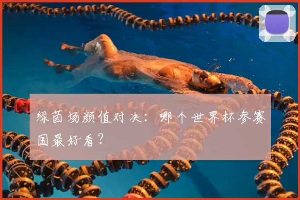 绿茵场颜值对决：哪个世界杯参赛国最好看？