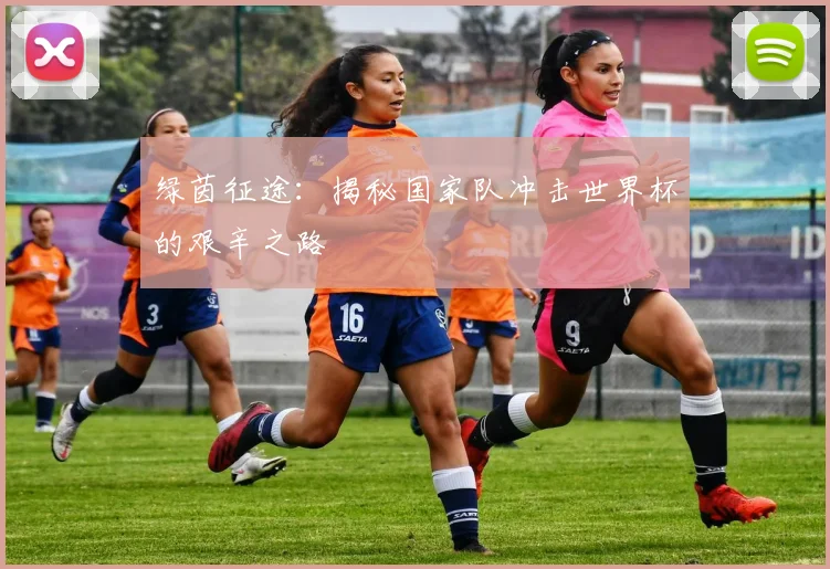 绿茵征途：揭秘国家队冲击世界杯的艰辛之路