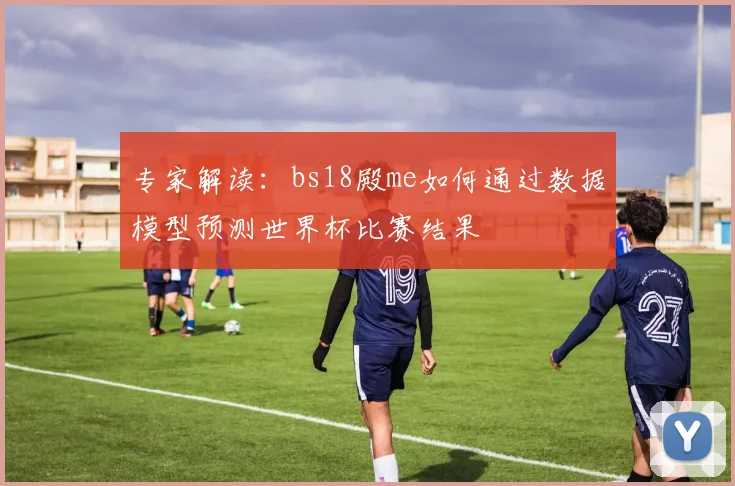 专家解读：bs18殿me如何通过数据模型预测世界杯比赛结果